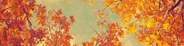 1-early-symptoms-of-dementia