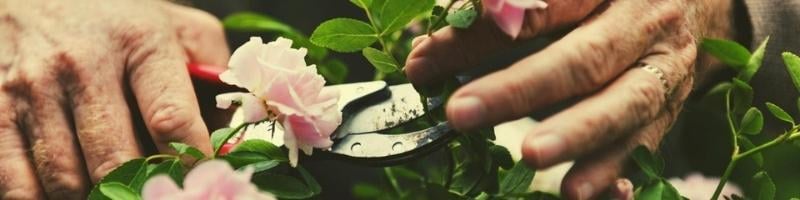 6-Activities-for-elderly-dementia-patients