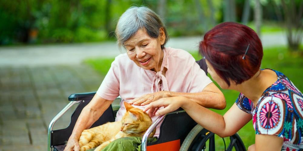 A senior woman in a wheelchair bonding with a cat on her lap, while a caregiver interacts with them, highlighting the personal and compassionate care of a Level 4 Home Care Package.