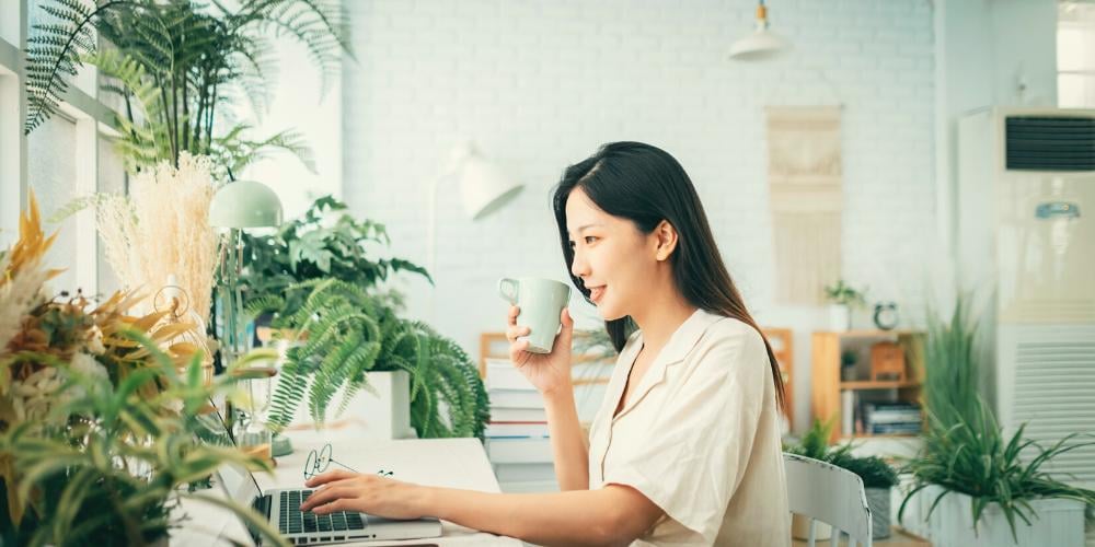 A lady in a white room with lots of indoor plants. She's drinking a cup of tea while browsing the internet on her laptop looking for support coordinator jobs in Sydney.