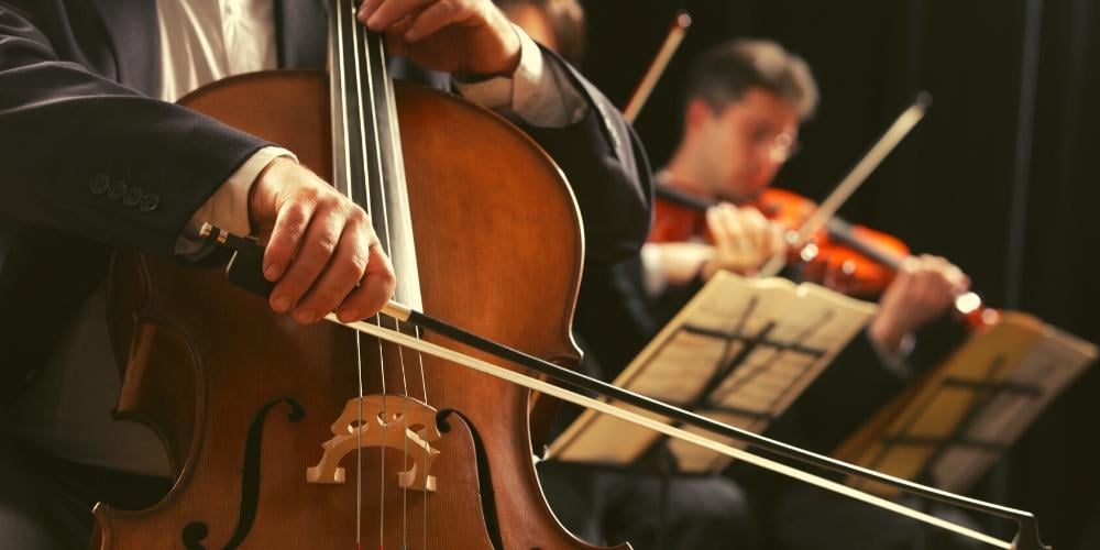 using-nsw-companion-card-concerts