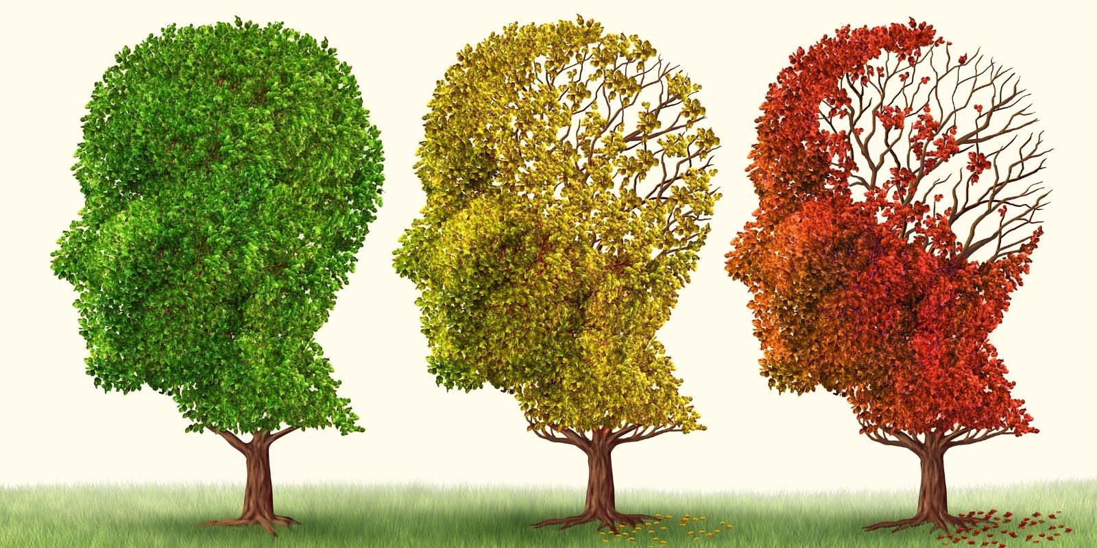 What causes dementia: Debunking myths and facts